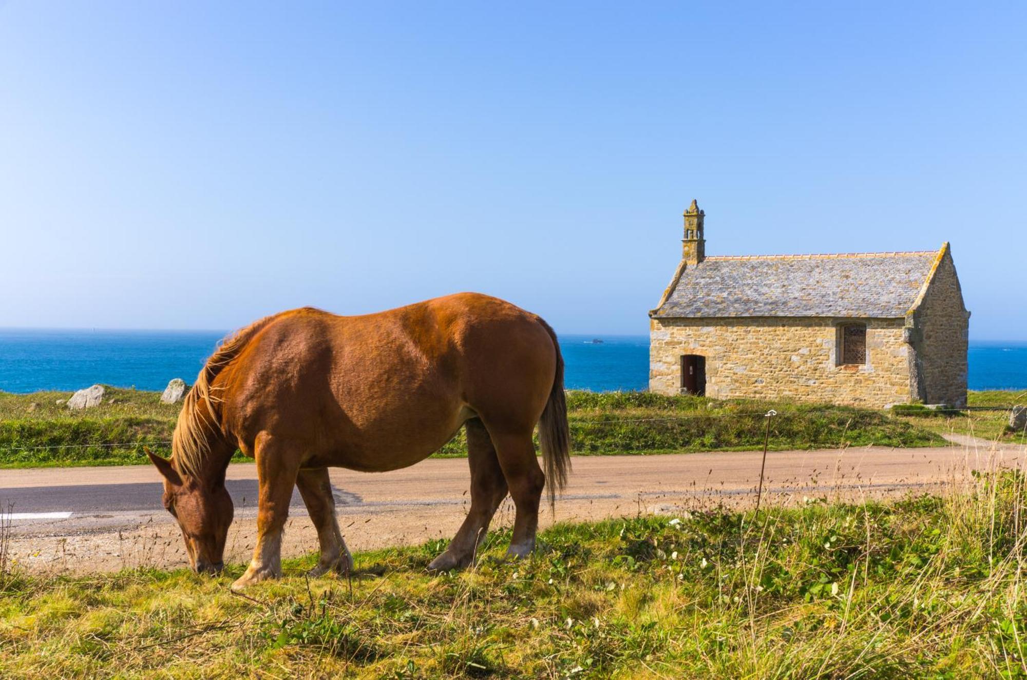 Gwel Ar Mor - Jolie Maison De Charme Renovee Proche Du Port Lanildut Bagian luar foto
